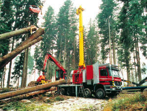 Valentini  IV 800x600